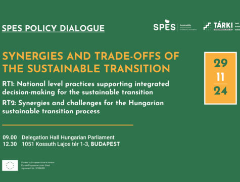 Synergies and Trade-offs of the sustainable transition: national level practices SPES Policy dialogue Budapest november 2024